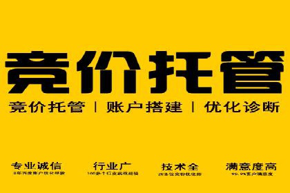 信息流广告代理案例对比分析